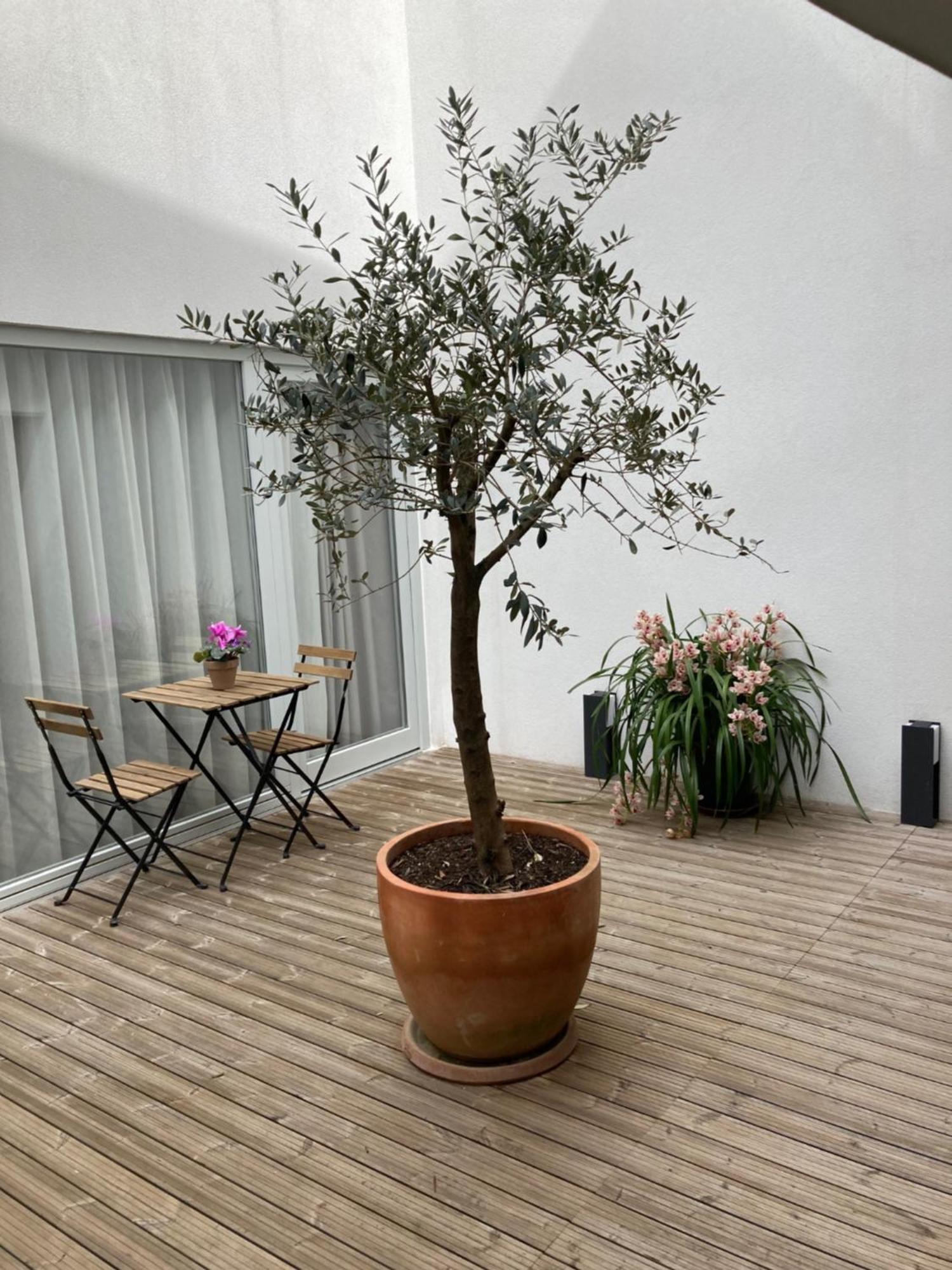 Ribeira Flores 59 Downtown Apartment *