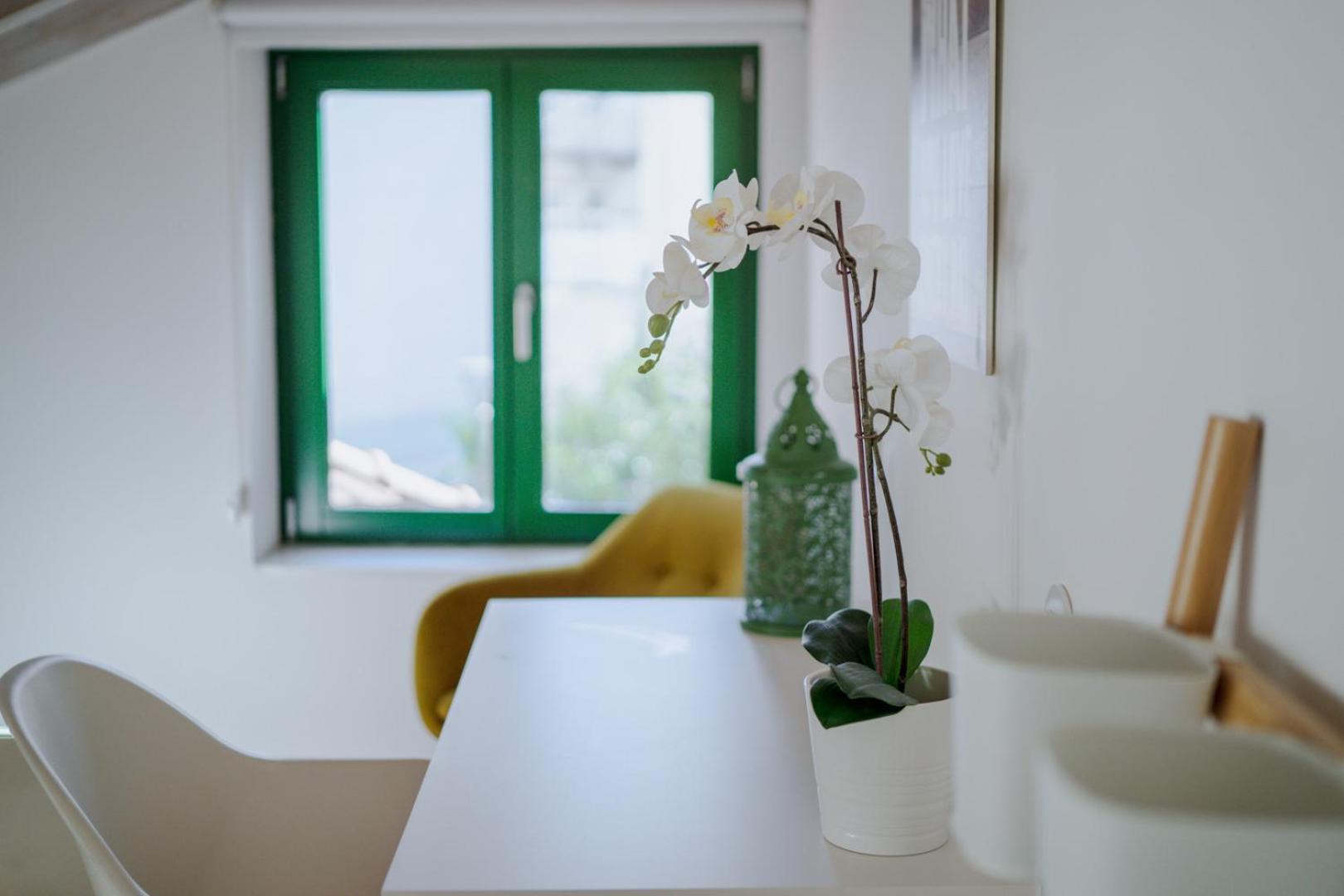 Apartment Lovely Nest Downtown *