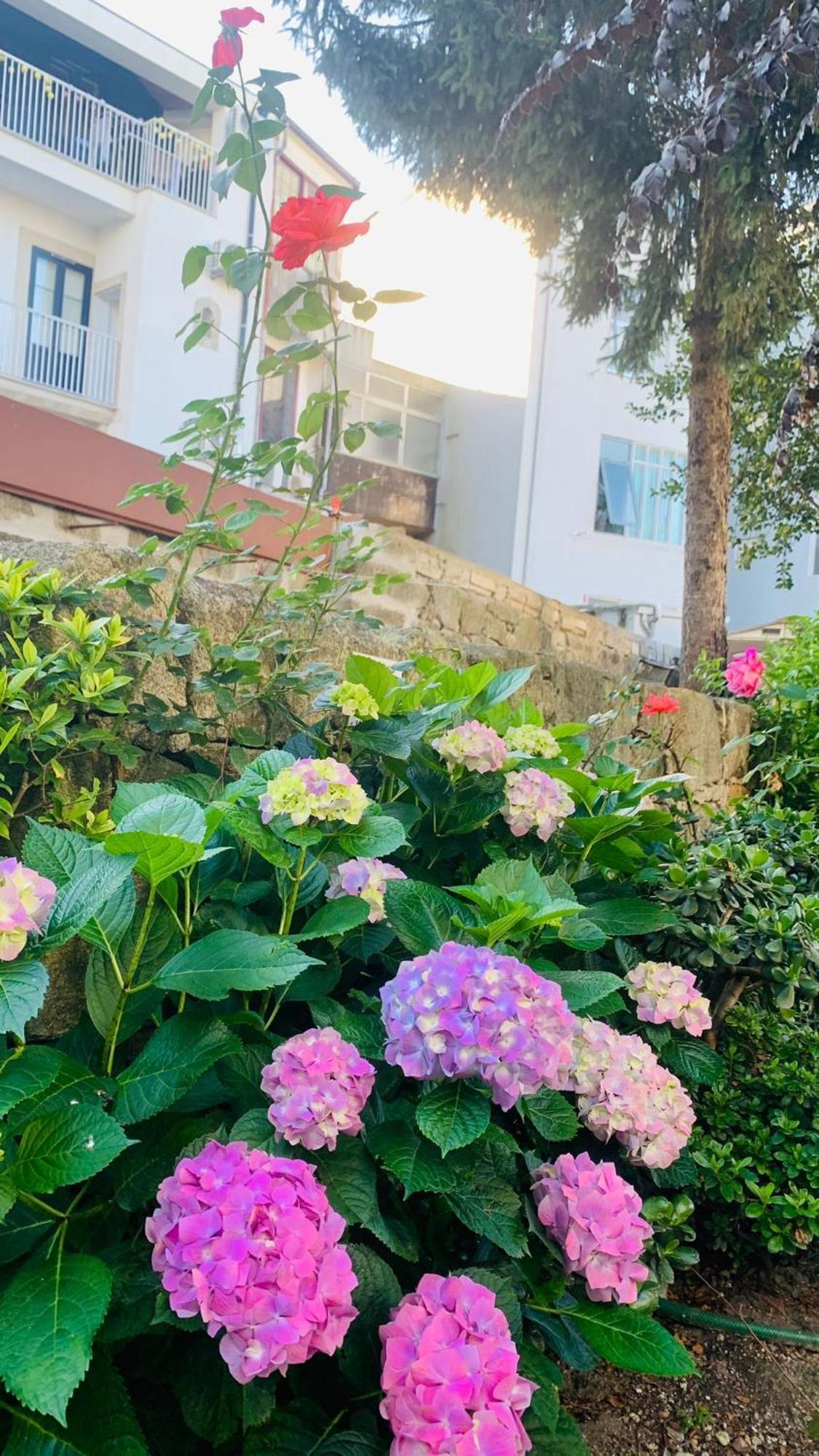 Invicta Guest house