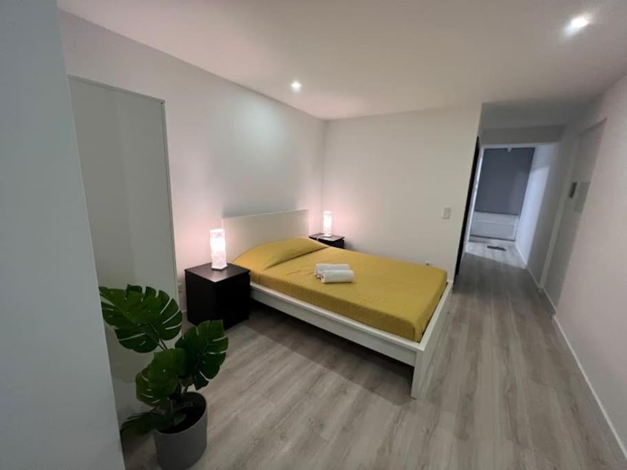 Opo - Fantastic With Garden Porto