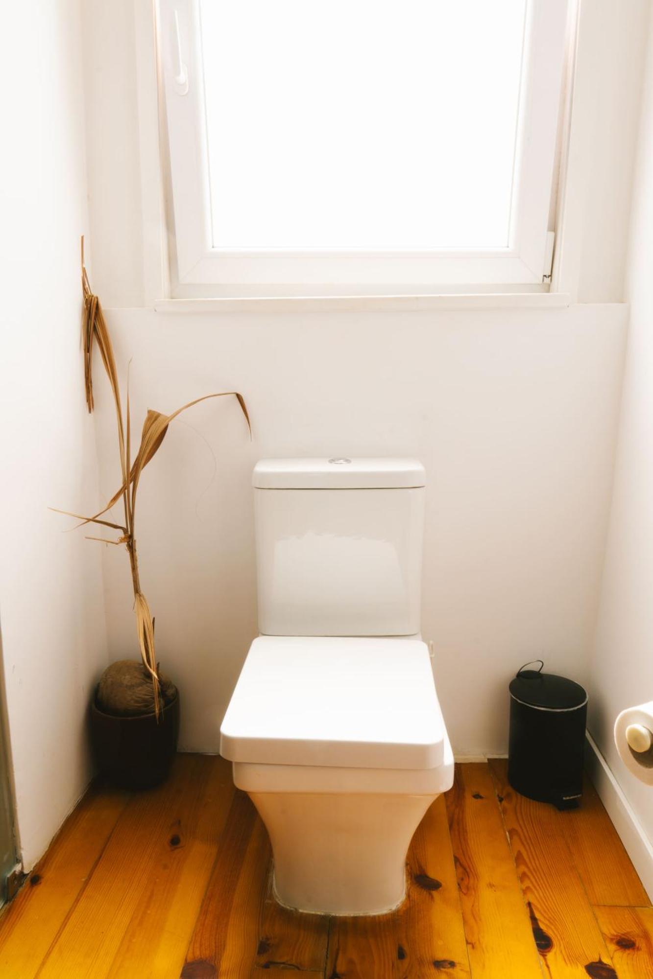 Appartement Faria Guimaraes *