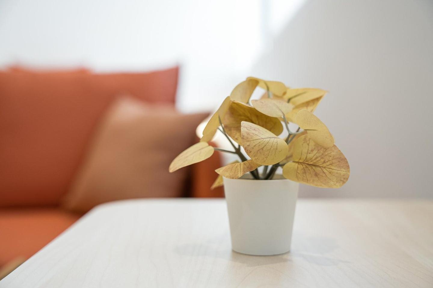 Apartment Guestready - The Mythic *
