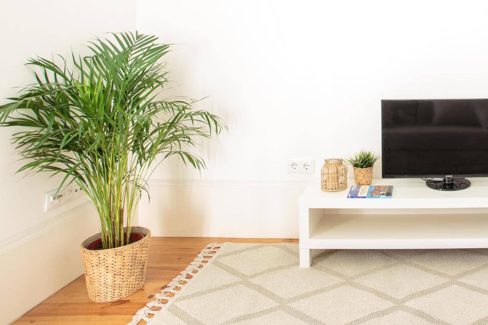 M Apartment Porto