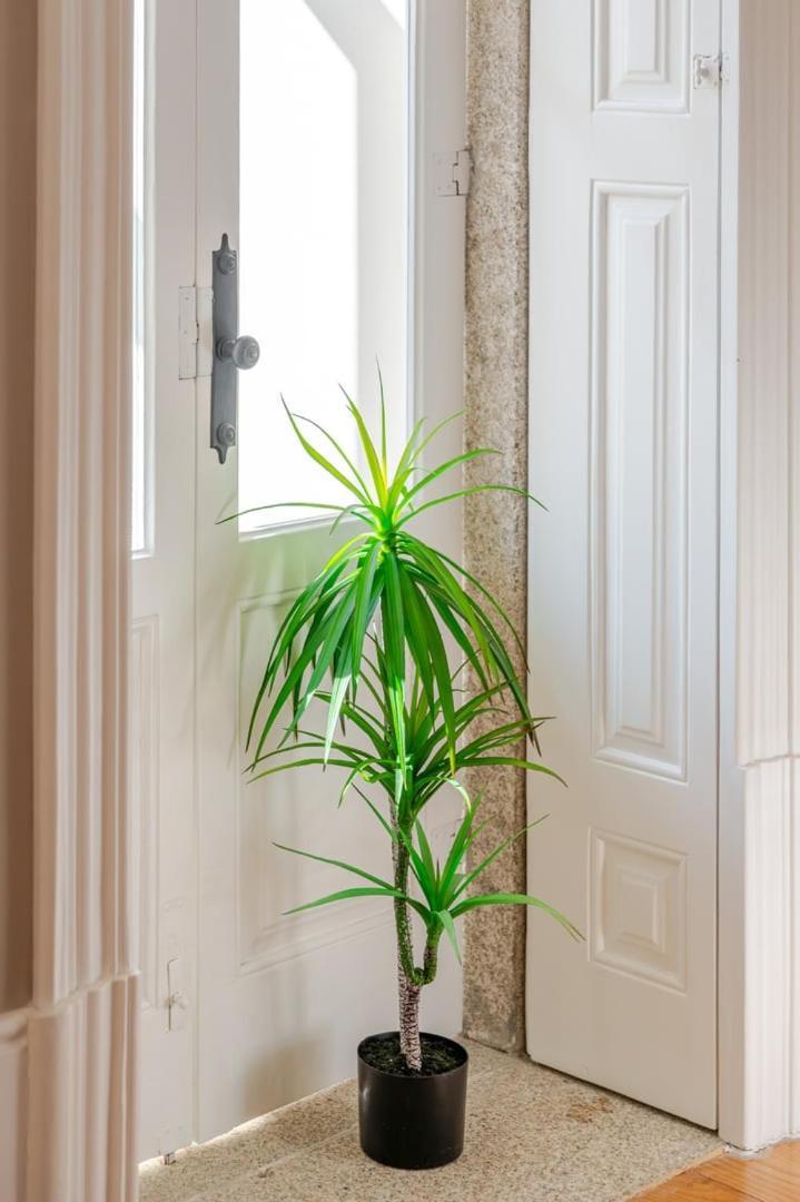 Apartamento Classic Meets Modern - Downtown Balcony Retreat Porto