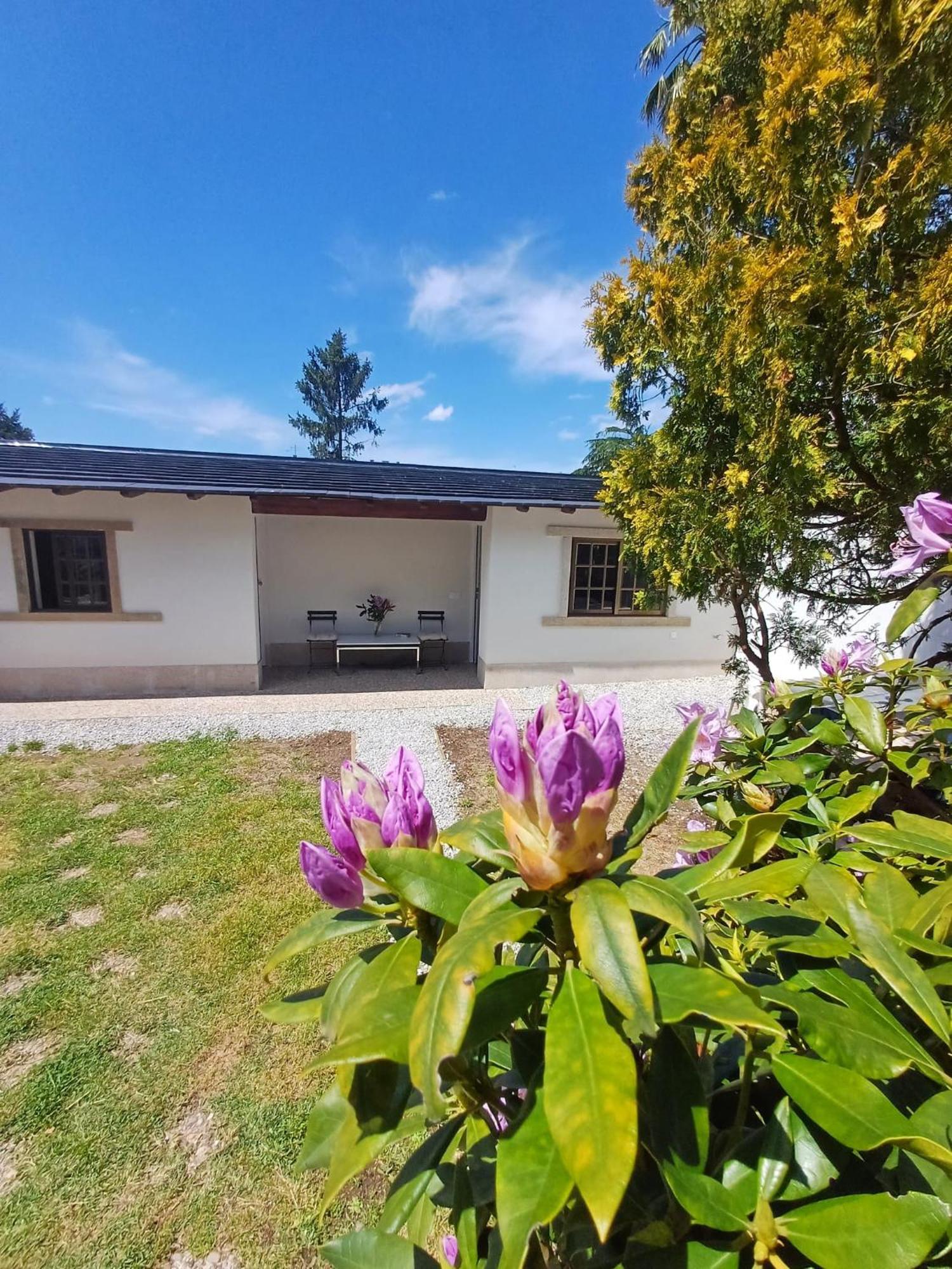 Boa Ventura Guest house