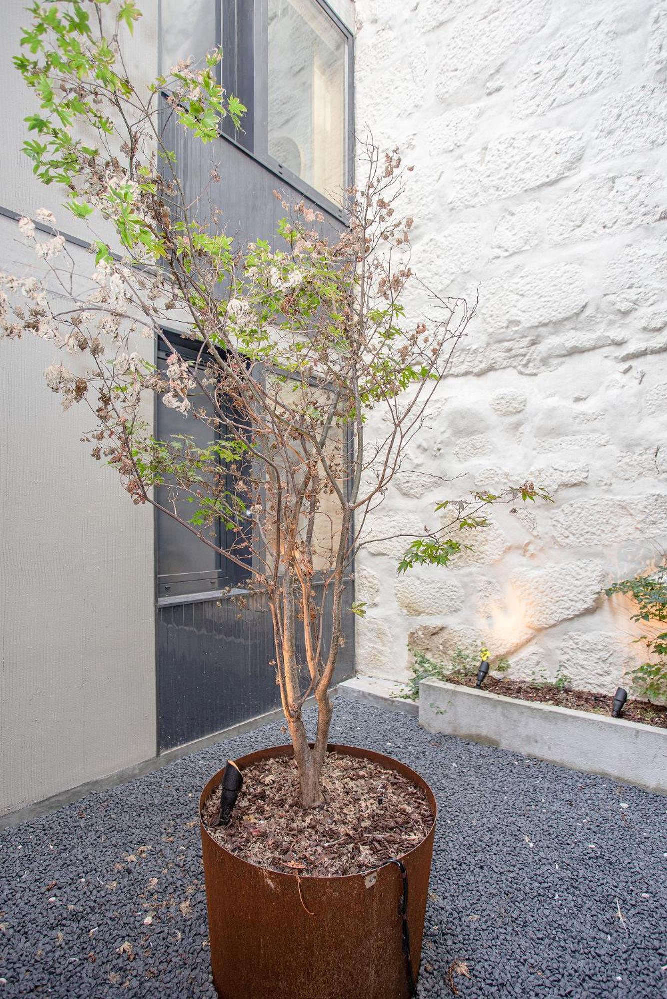 Liiiving In - Bolhao Trendy Apartment