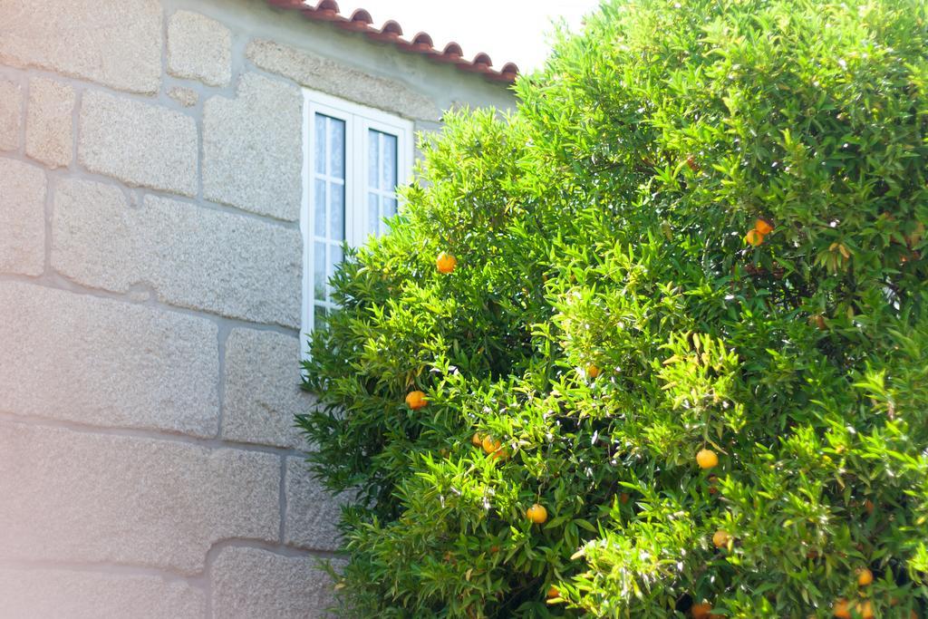 Casa Do Poco Landhaus *
