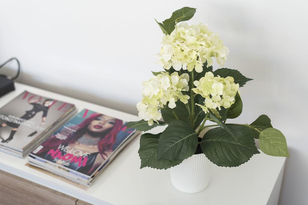 Lovelystay - Casas Brancas - Modern Apartment With Balcony & Free Private Parking Apartment
