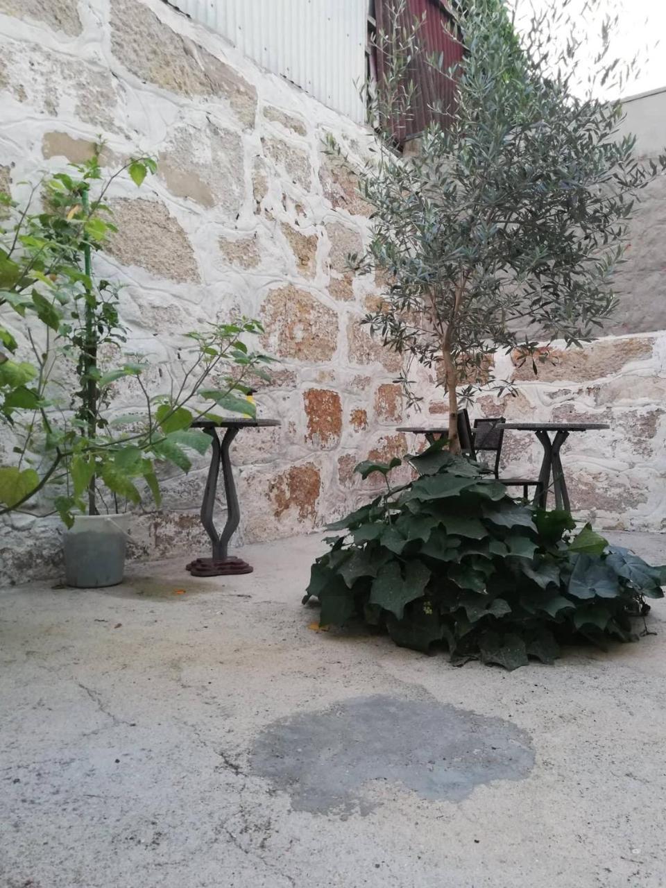 Guest house Gabriel Porto