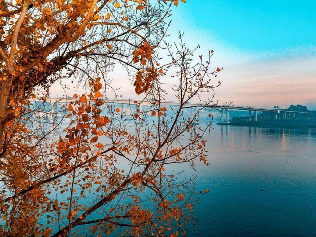 Douro River View Apartment