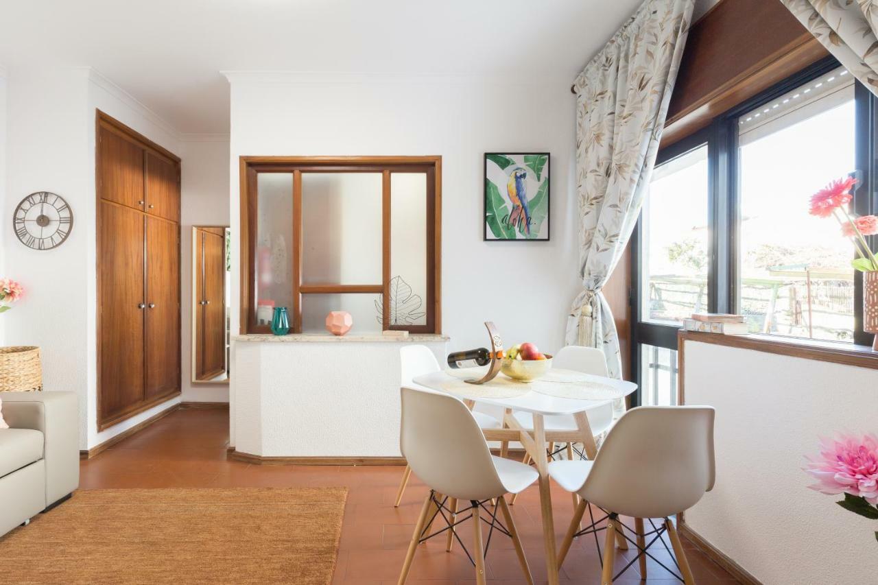 2 Comfy Bright Flats With Netflix Apartment Porto