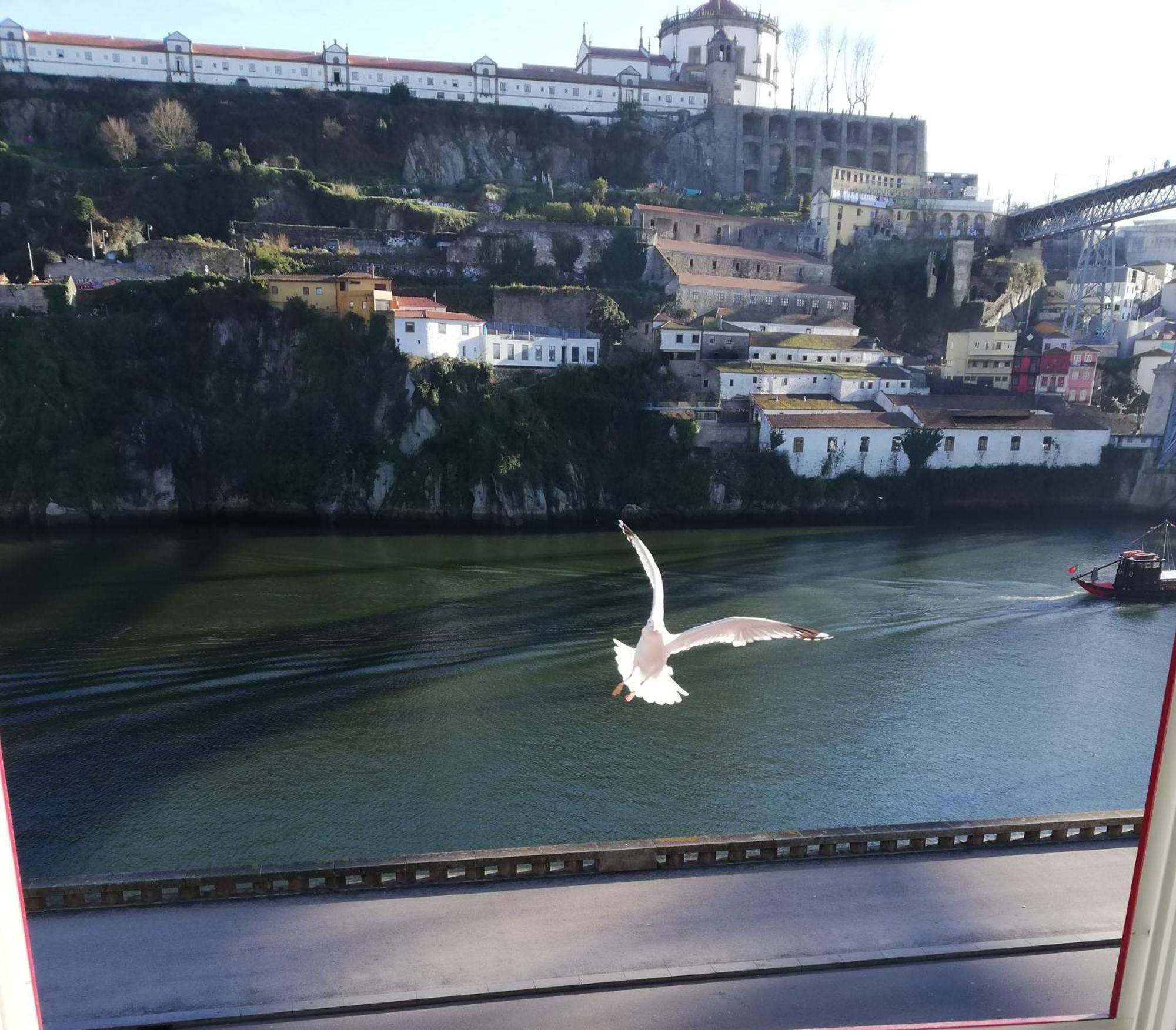 Red House By The River Porto