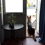Porto\'S Secret Backyard