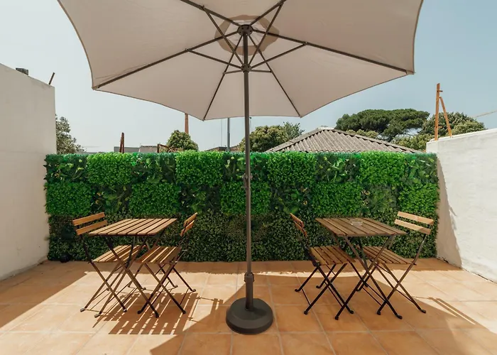 Cedofeita Terrace By Hosty