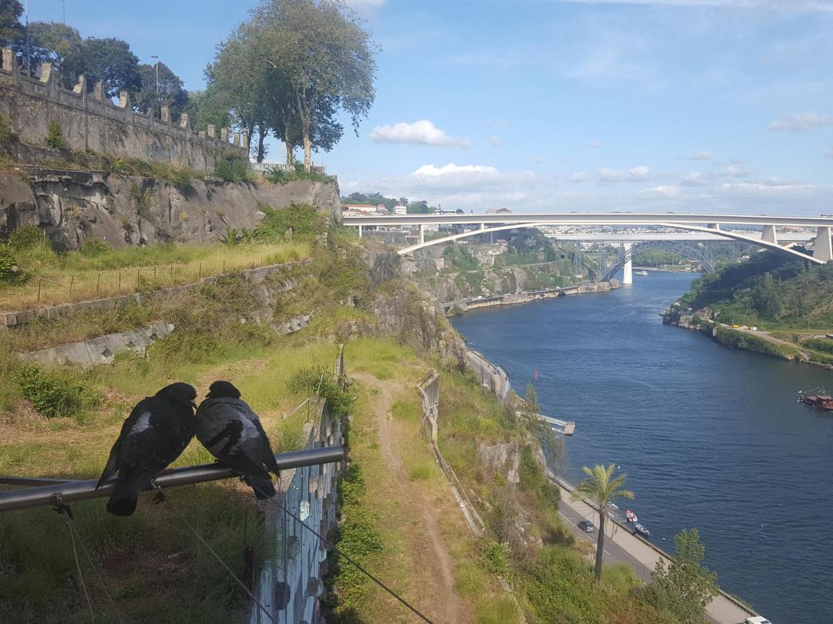 Appartement Lovely Miradouro Porto