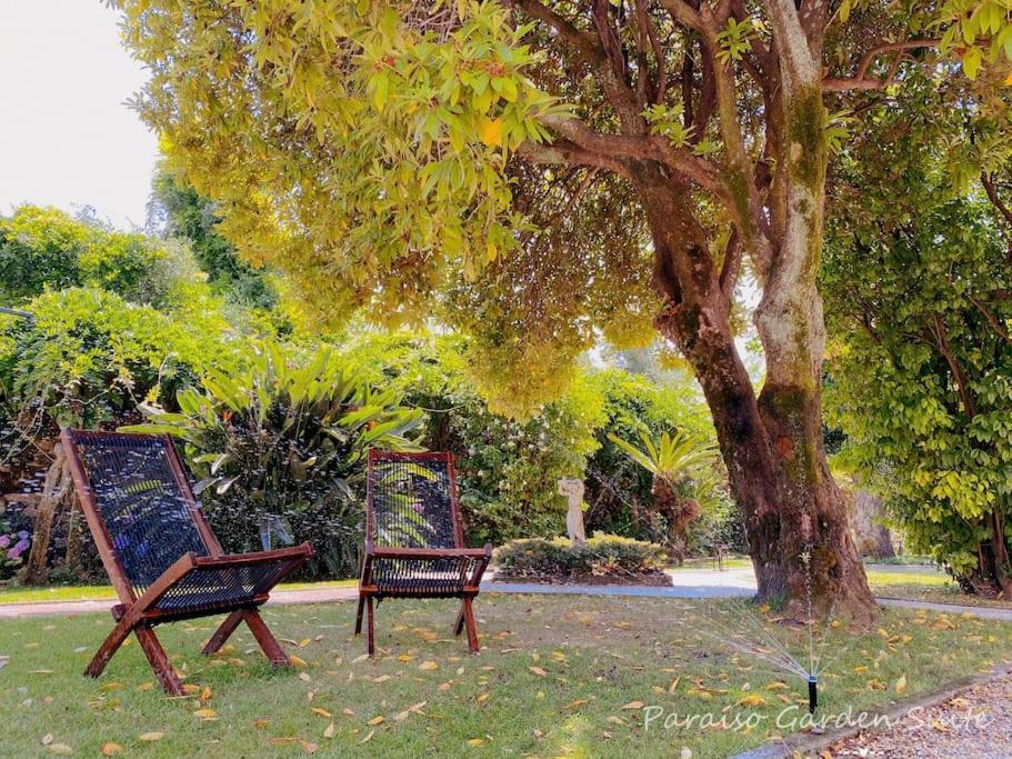 Apartment Paraiso Garden Suite--- Spacious & Downtown
