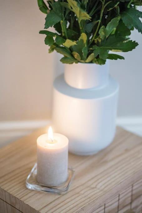 Classy Flat At Marques Square With Garden * Porto