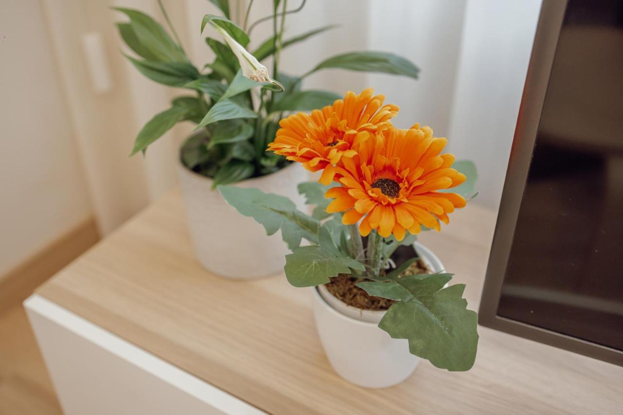 Modern Trindade By Homing Apartamento *