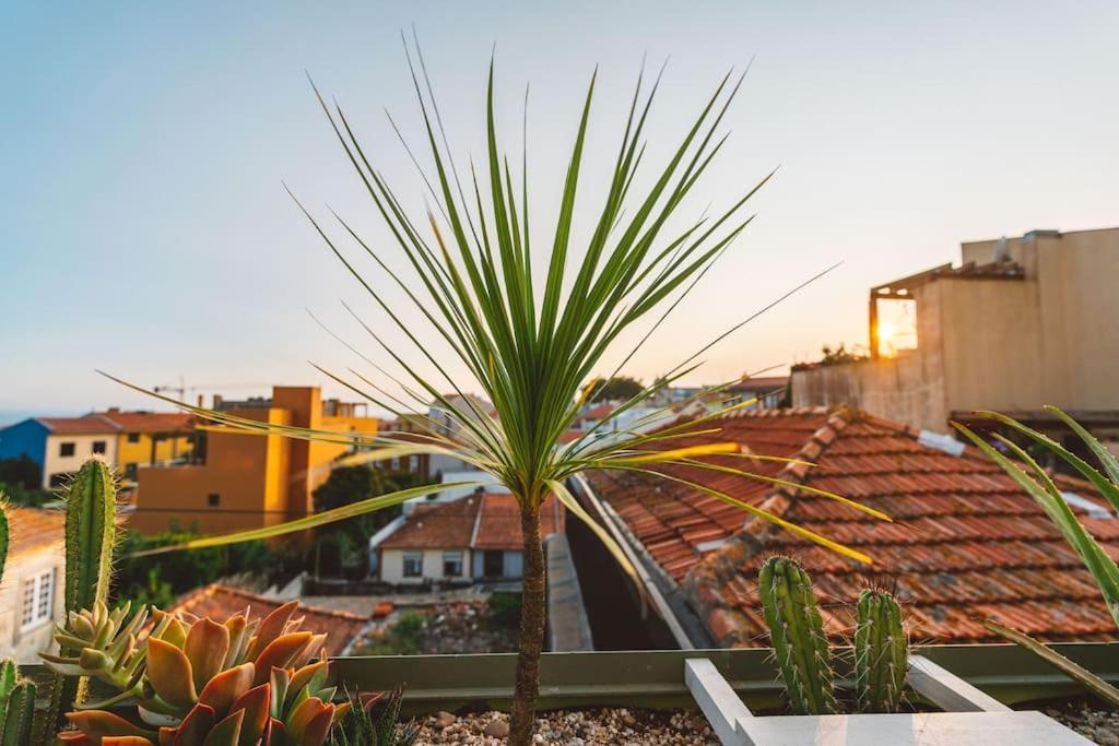 Casa Senhorinha * Porto