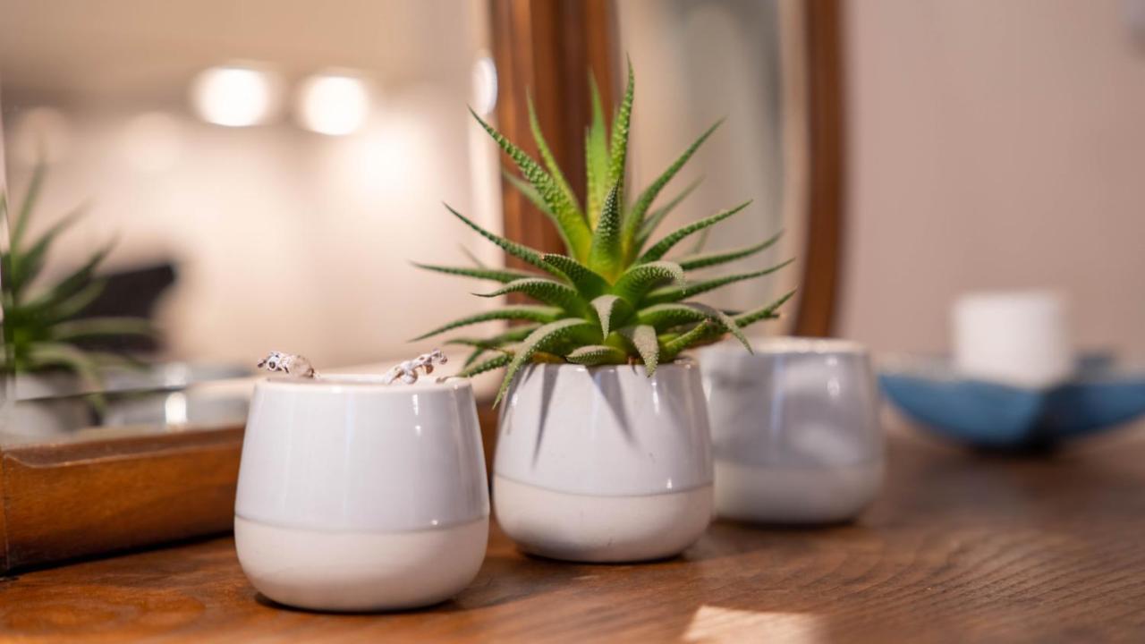 Apartment Taipas Tranquility: Cozy T0 By Lovelystay Porto