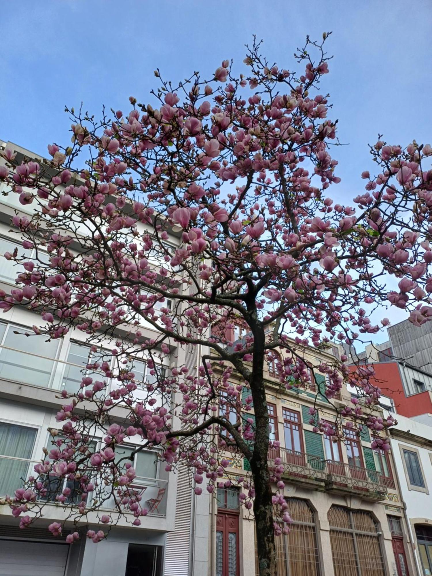 Apartment Otf- Centro *