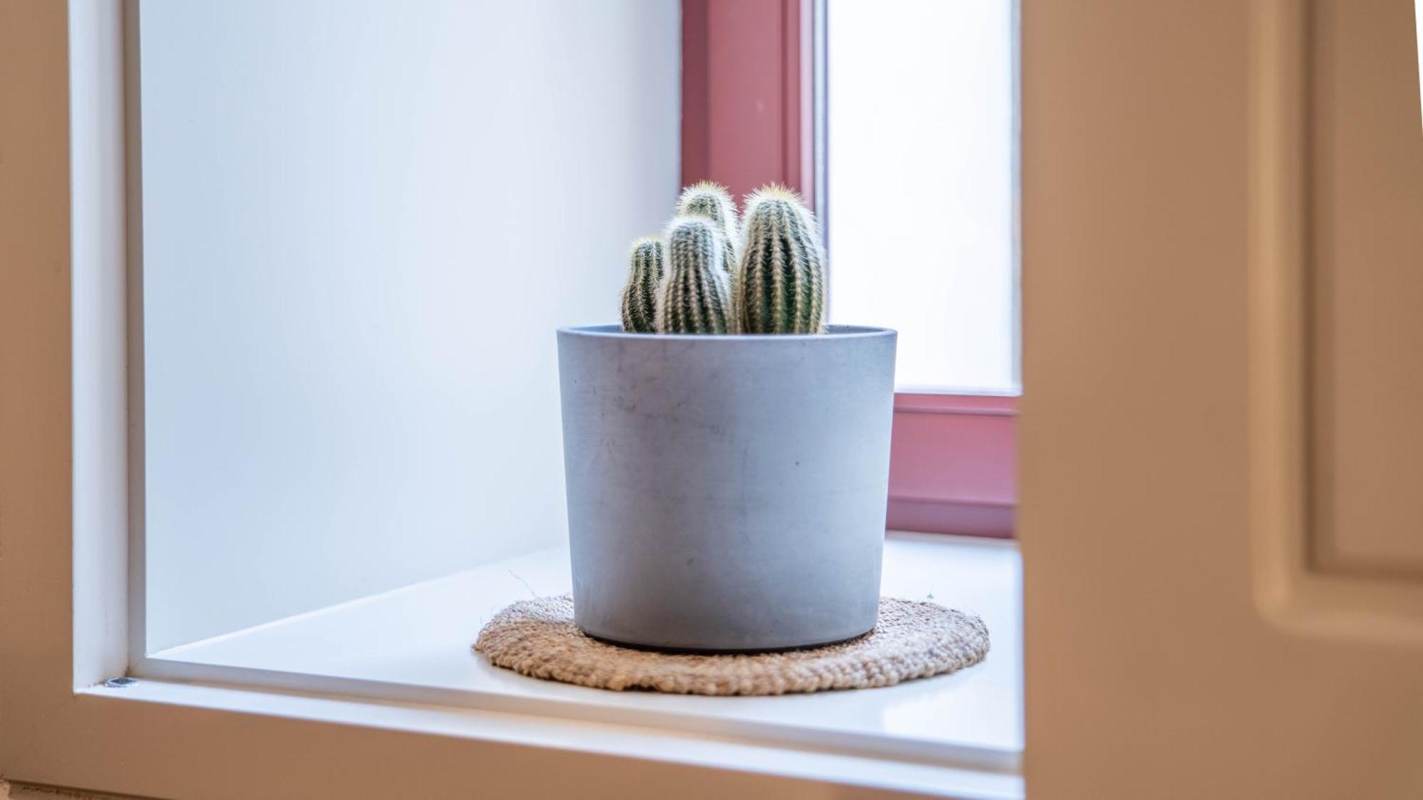 Apartment Taipas Tranquility: Cozy T0 By Lovelystay