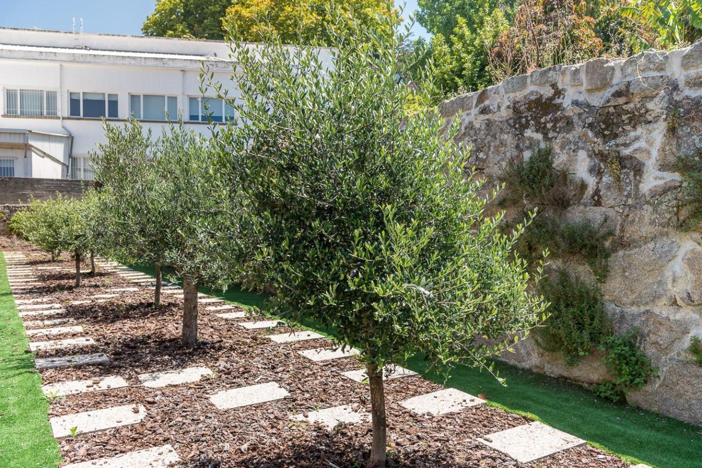 Guestready - Jardim Oliveiras - 2 Apartamento *
