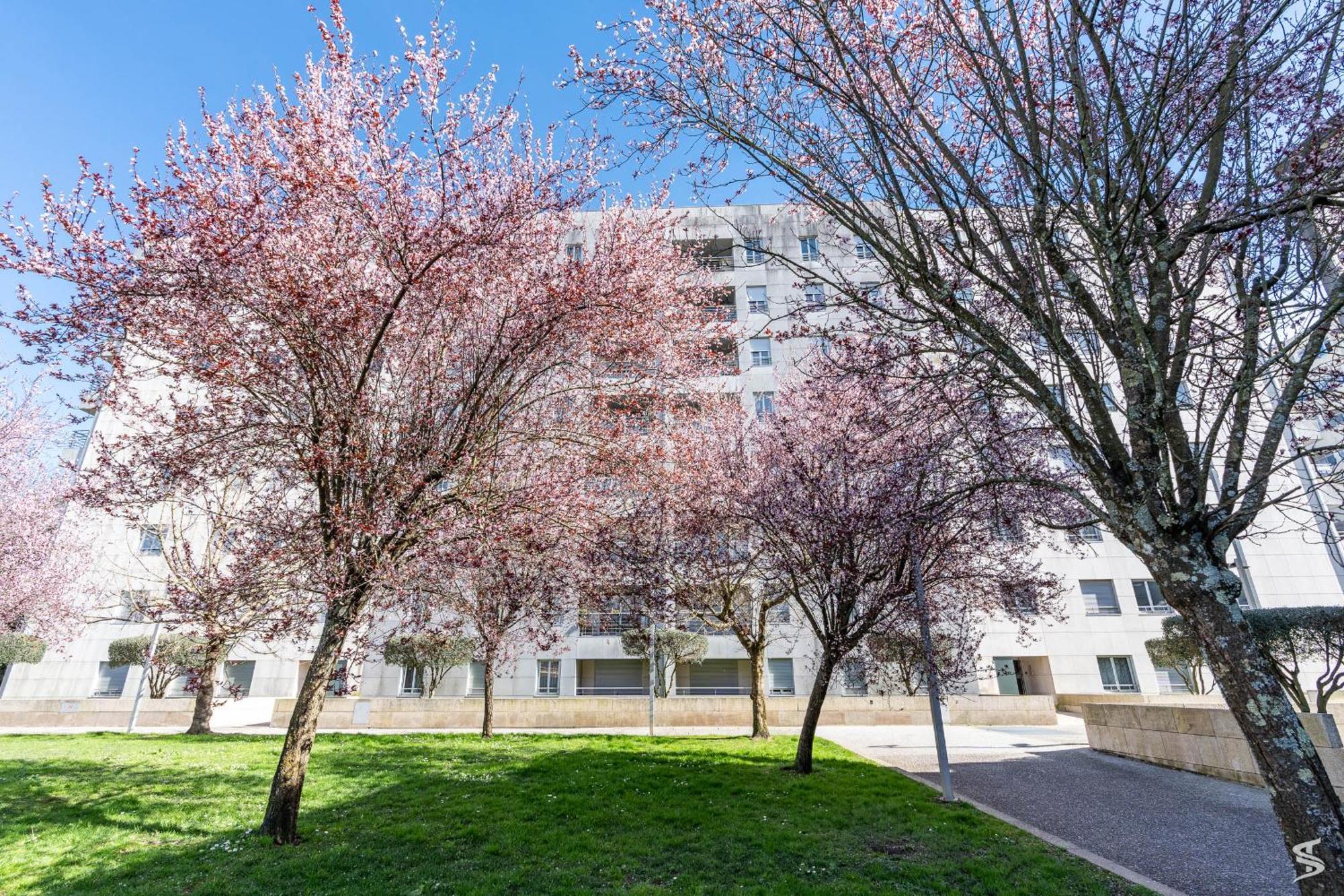 Apartment Cedofeita Sunny - Balcony & Parking Porto