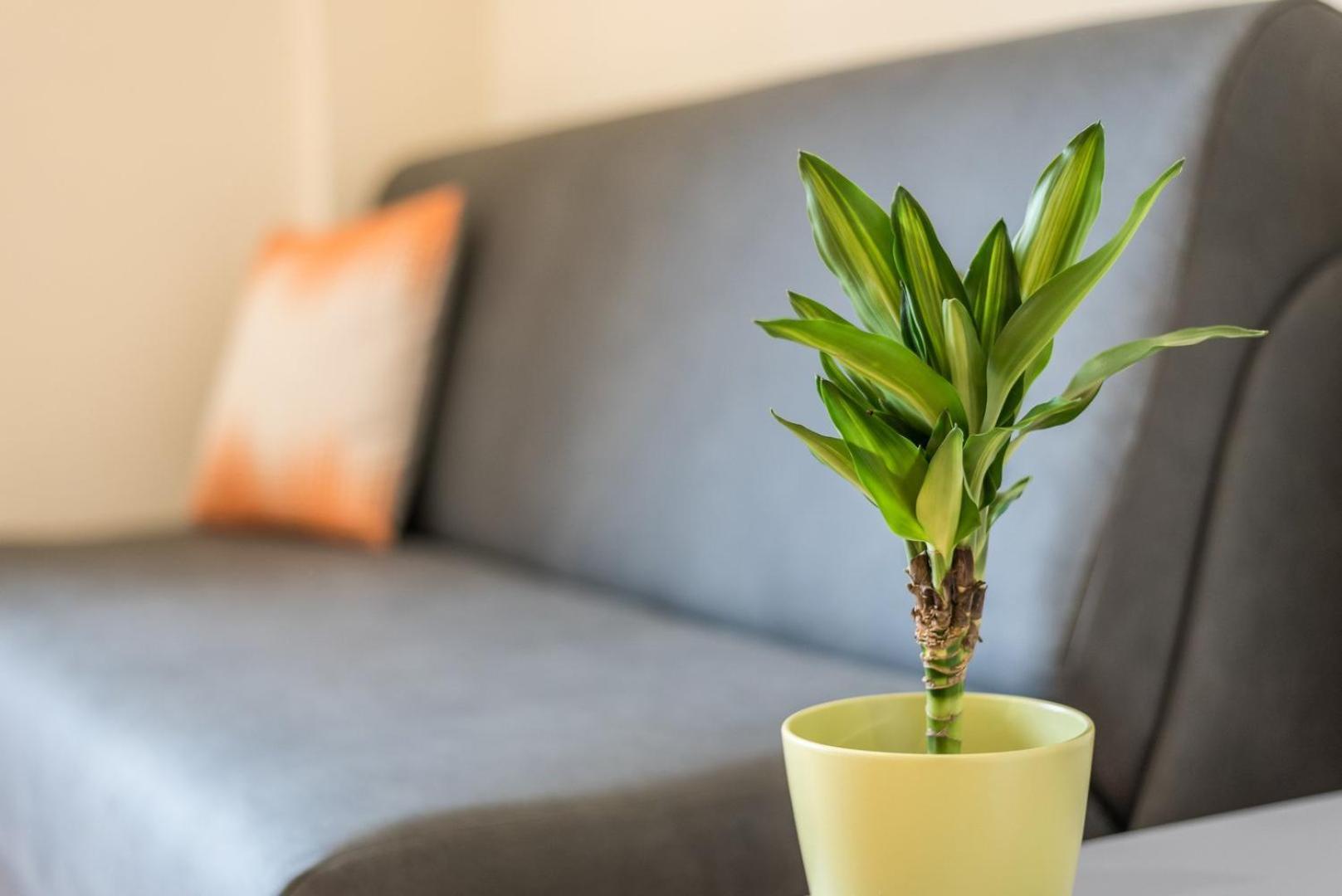 Guestready - Musichall Apartment