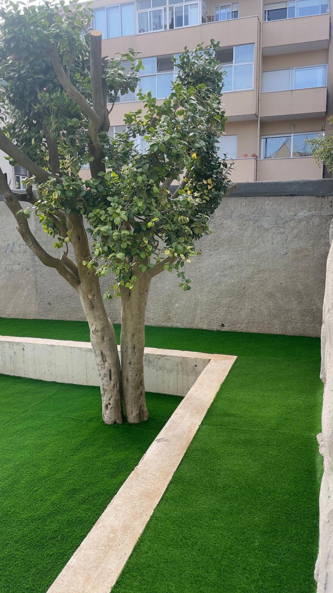 Standard Foz Cool Living Apartment Porto