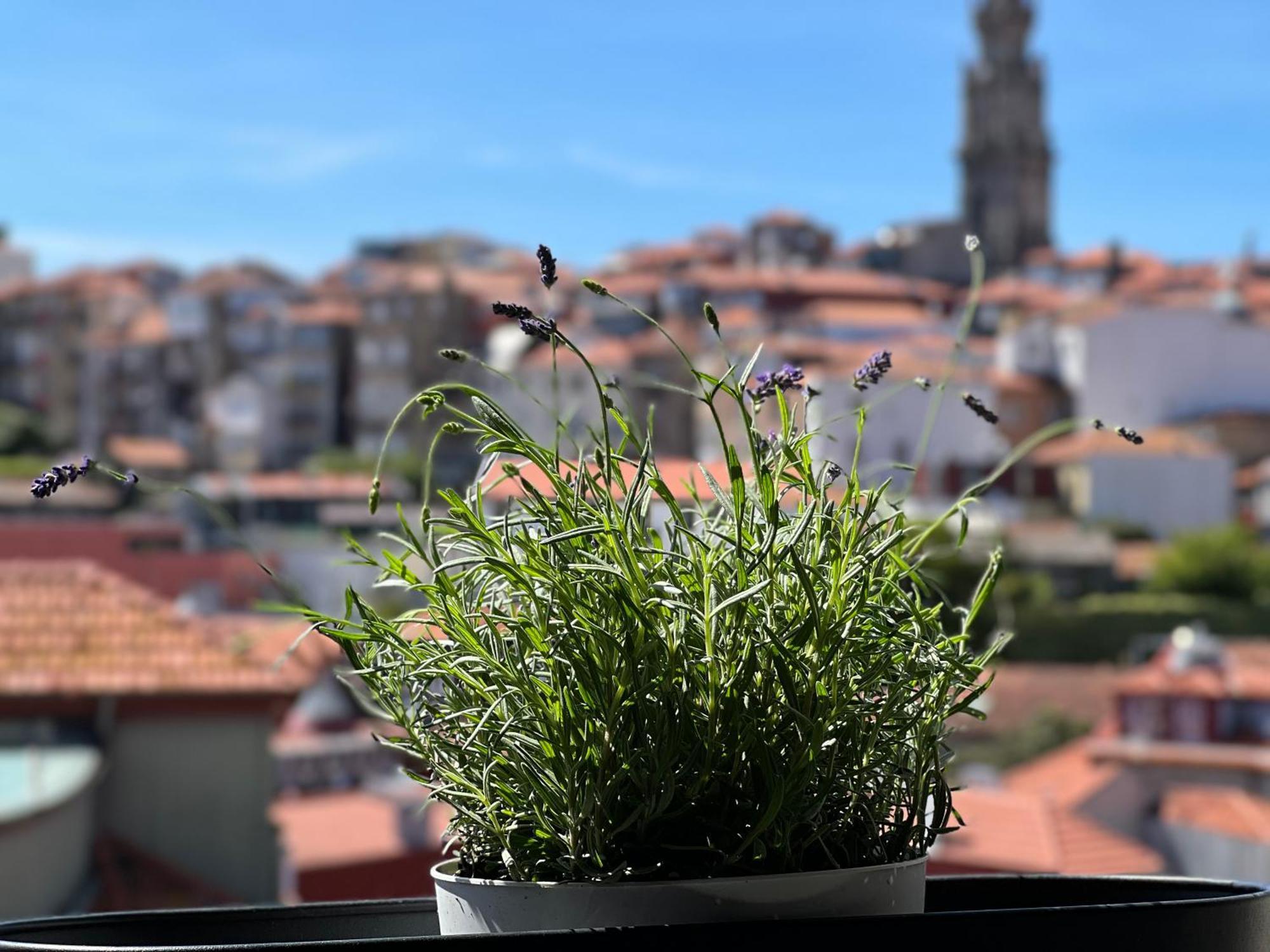 Urban Casa Da Portela Apartment *