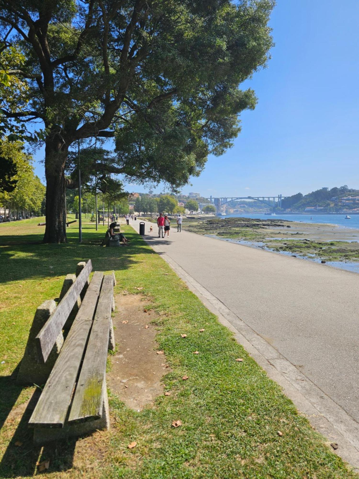River Blue * Porto