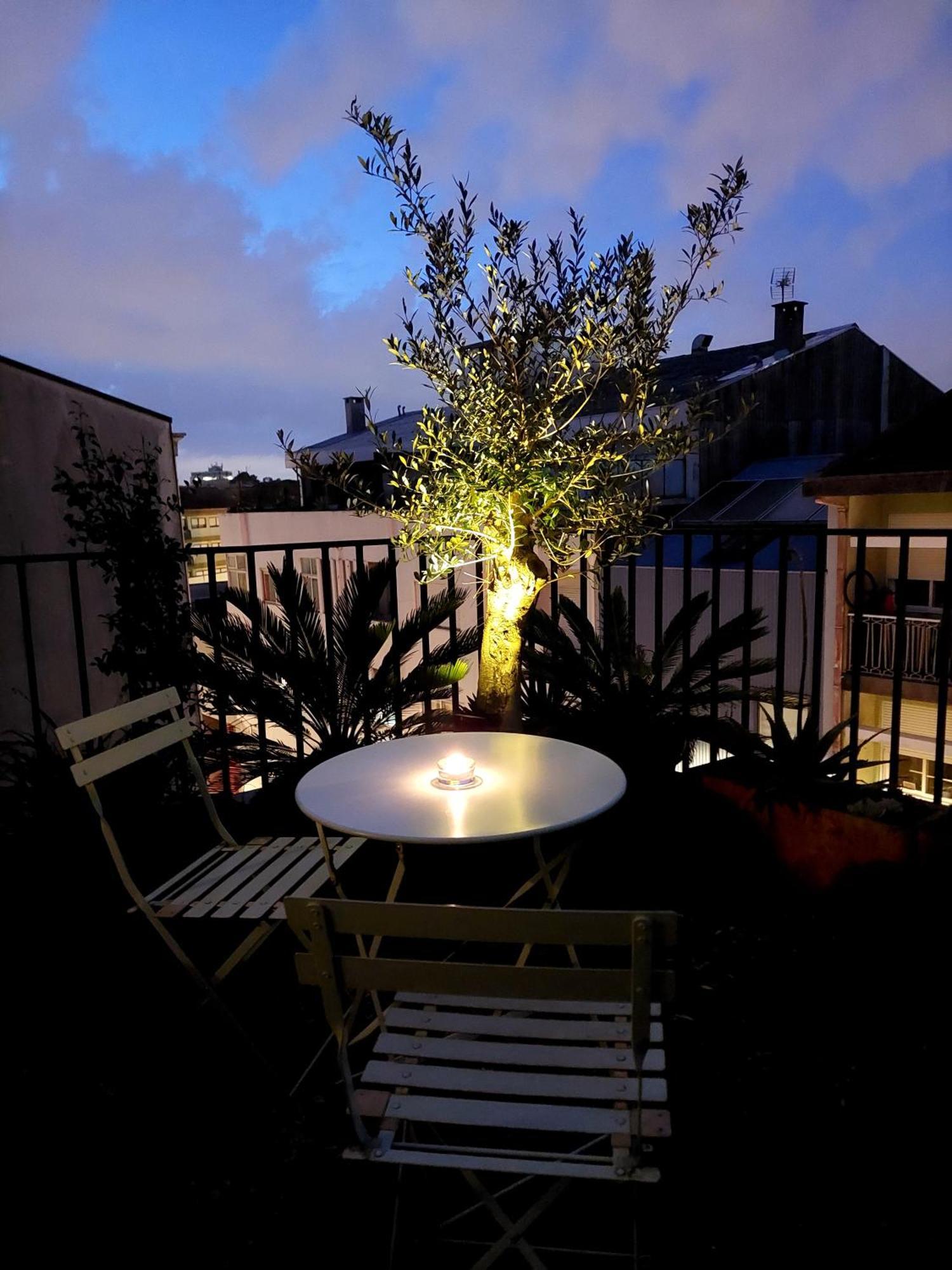 Le Chien Noir Centre Apartment Porto
