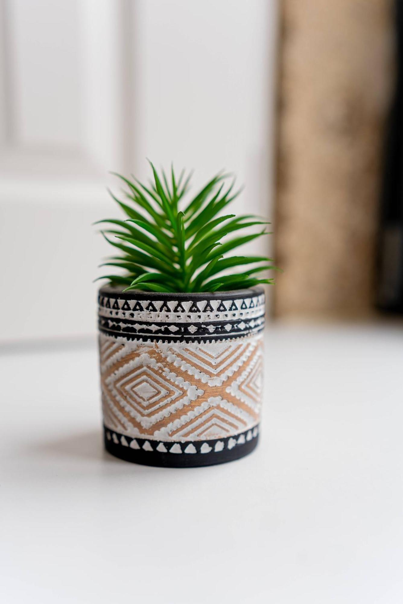 Cosy Charm Bonfim Apartamento