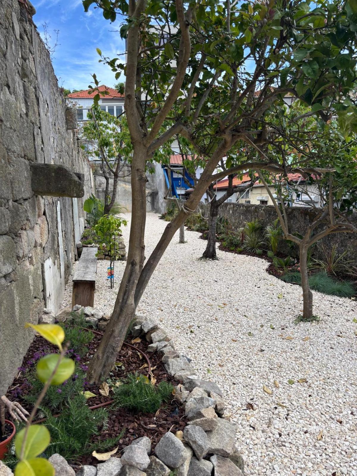 Appartement Charming With Rooftop In Porto