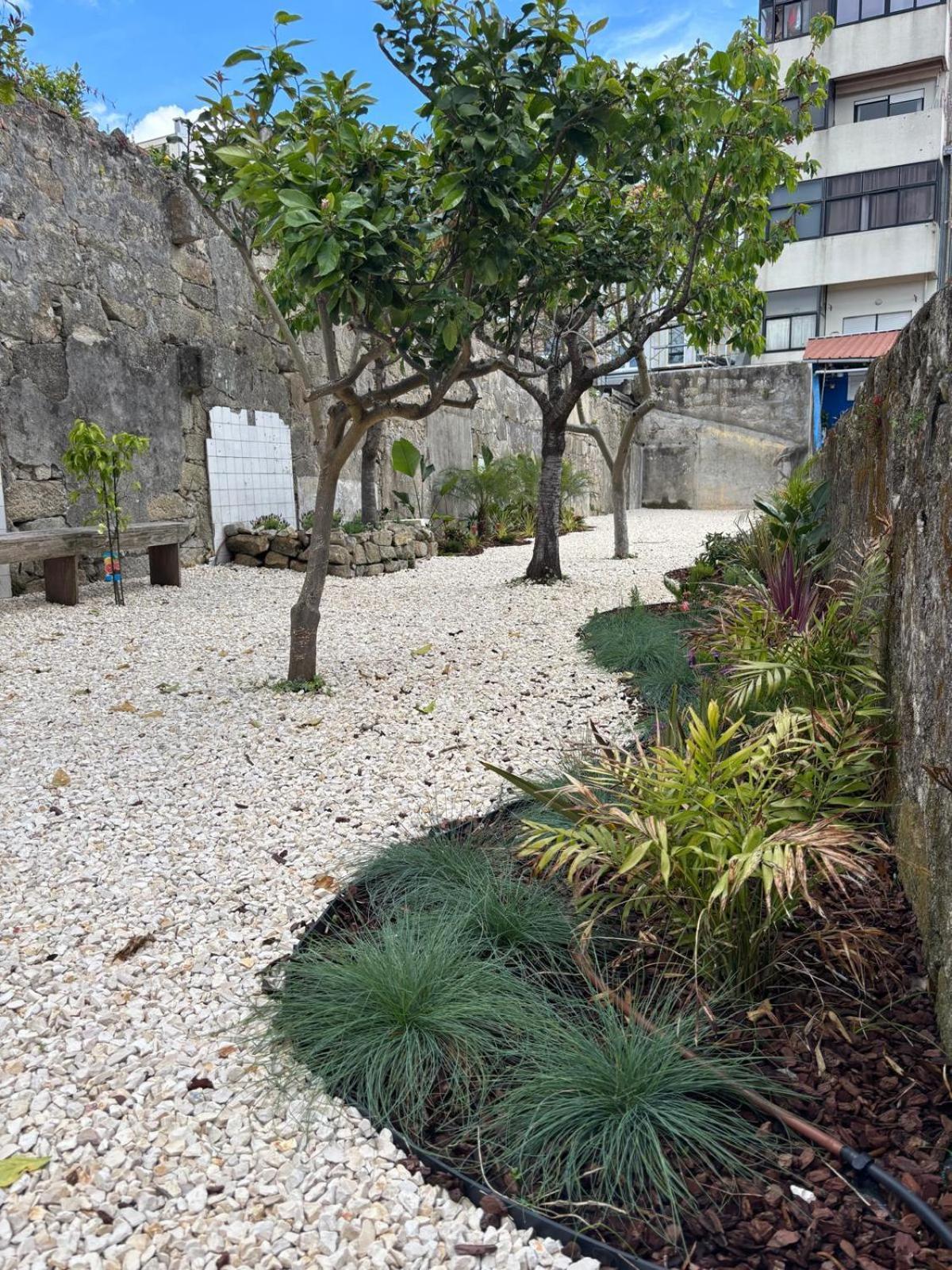 Appartement Charming With Rooftop In