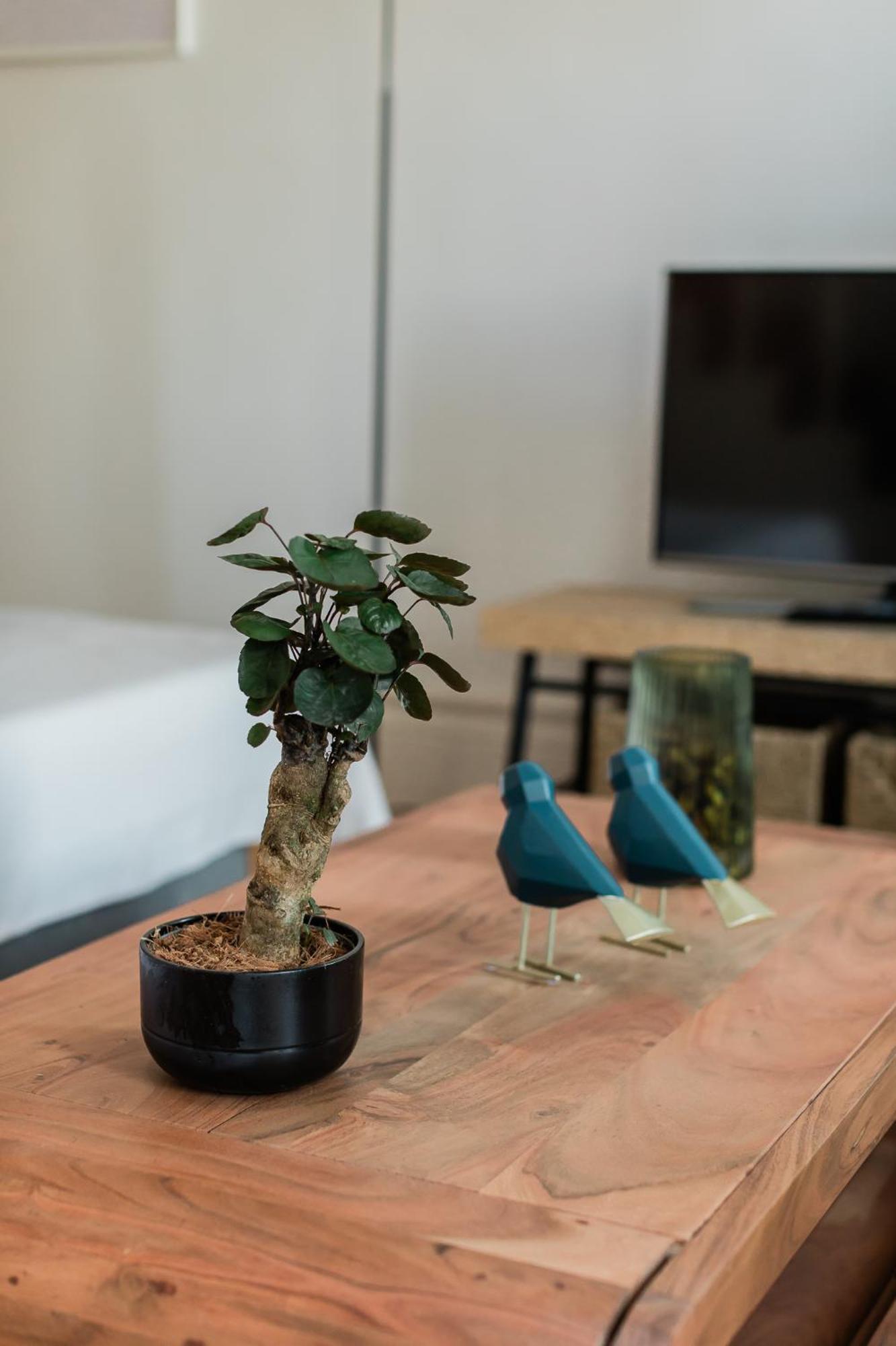 Downtown Urban Nest Apartment Porto
