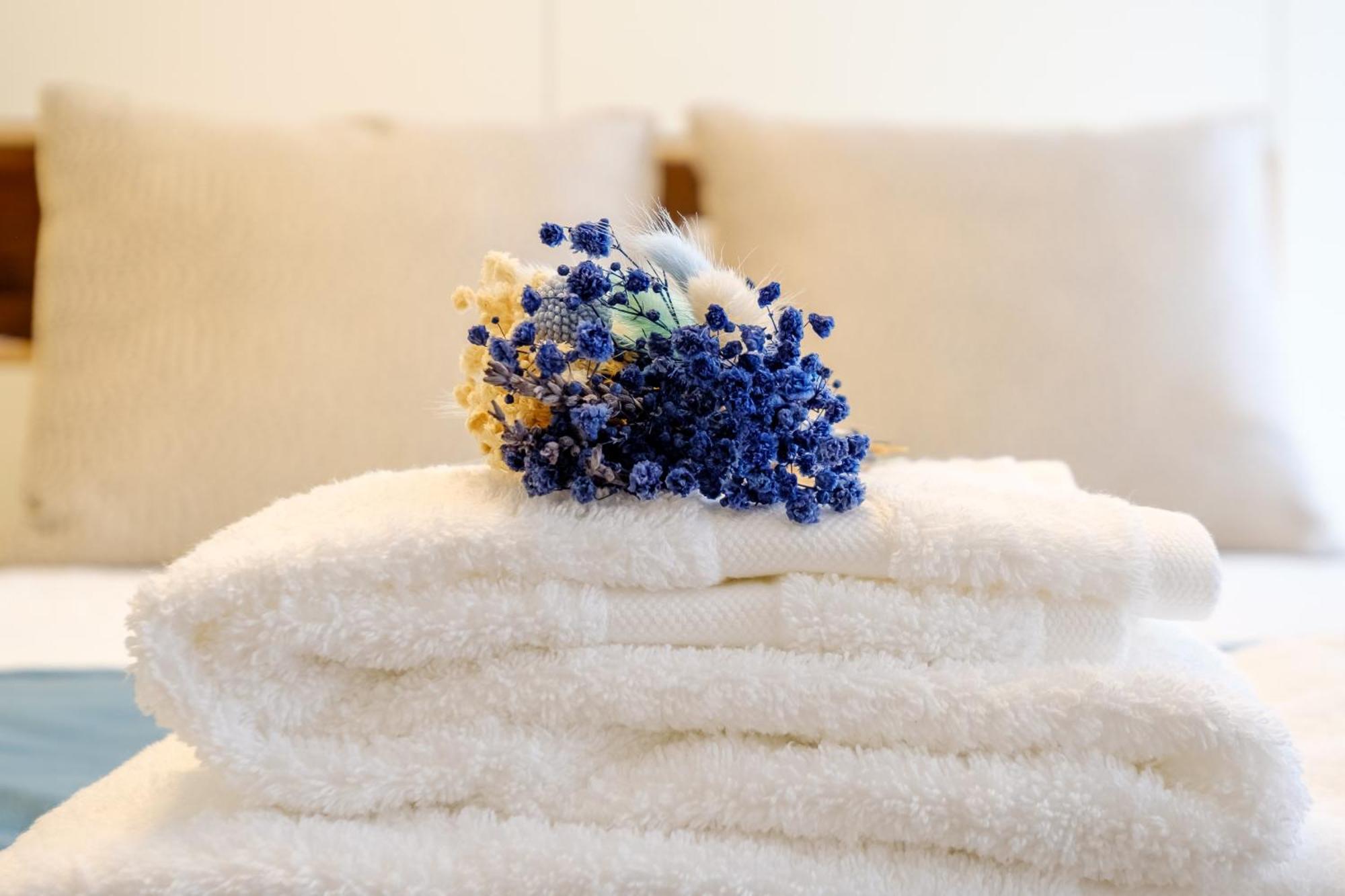 Discovery Luxury Historic House At Rua Flores * Porto