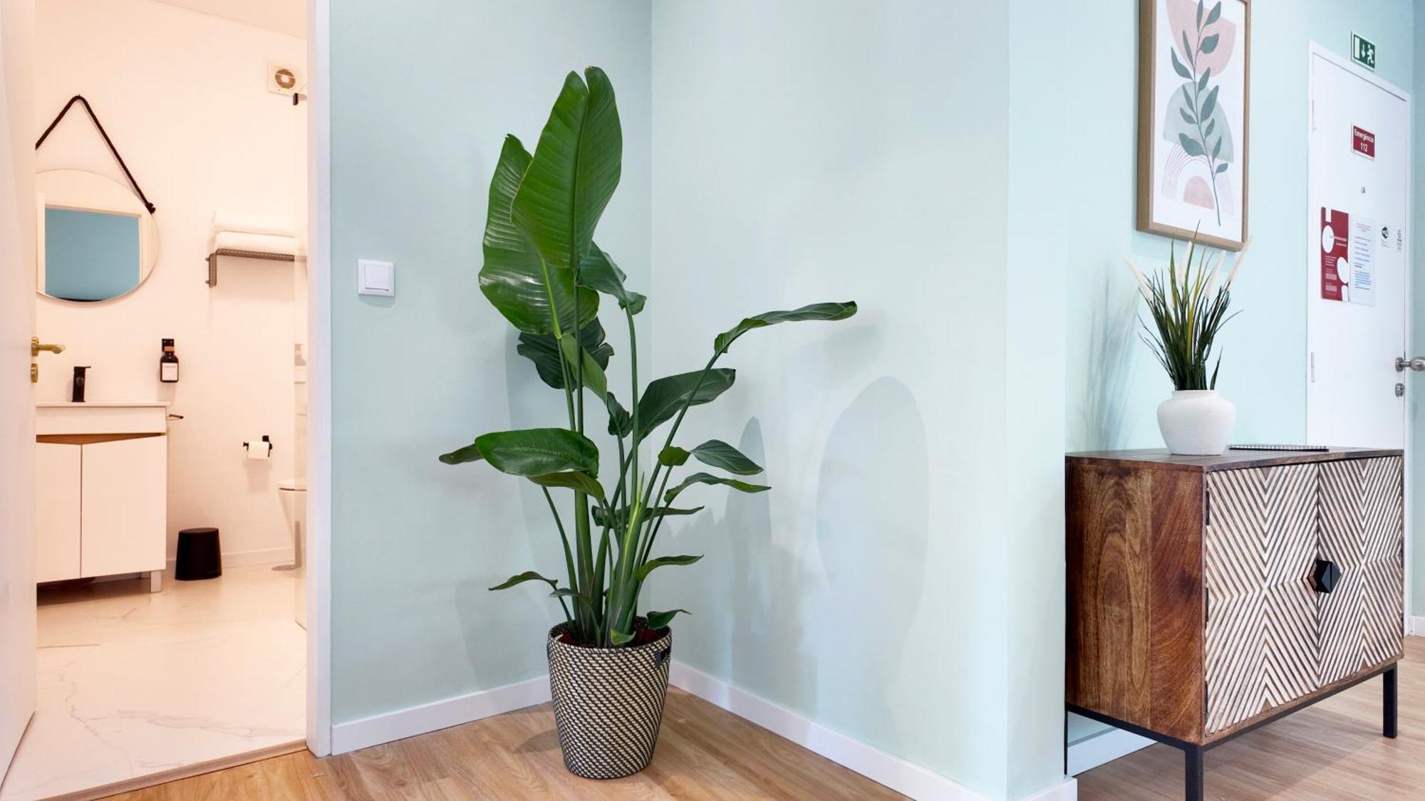 House Espacoso E Apartment Porto
