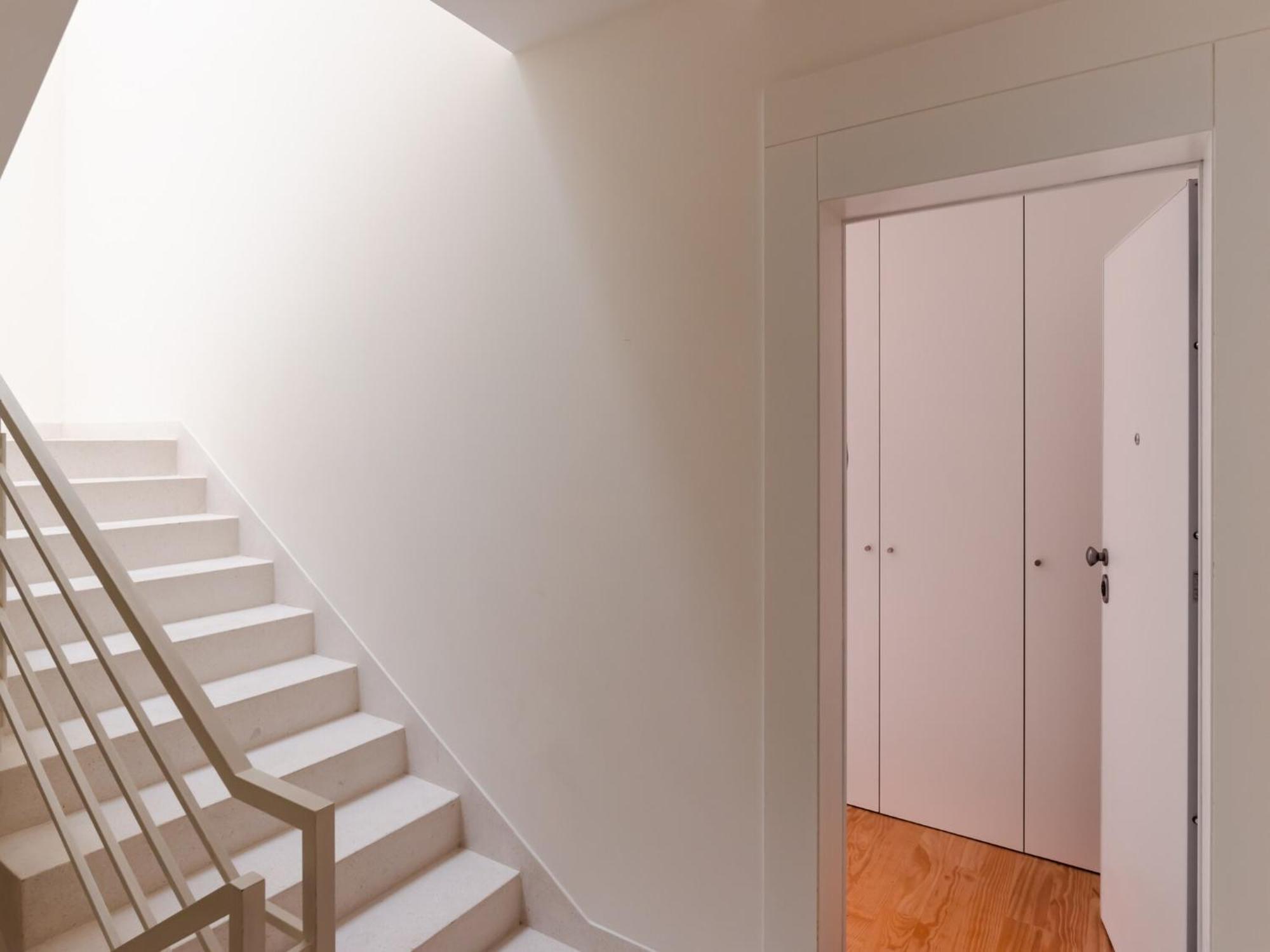 Pet-friendly In Apartment