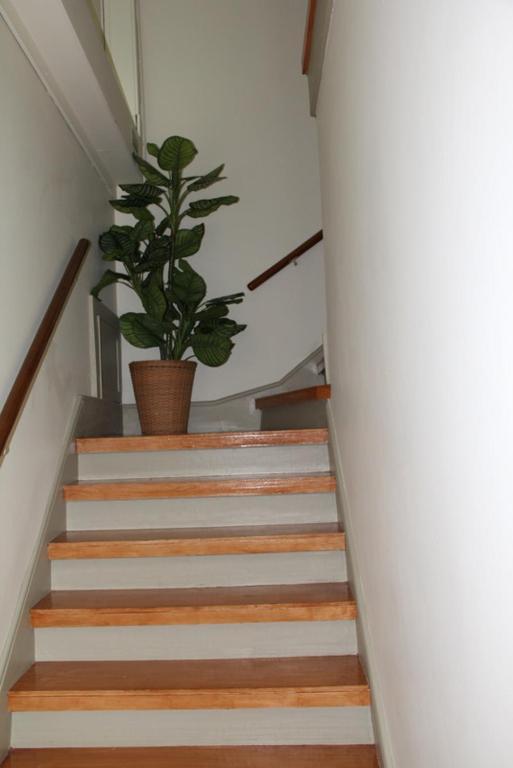 Guest House 31 De Janeiro