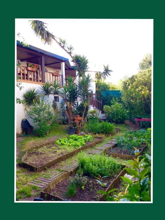 Apartment Green *